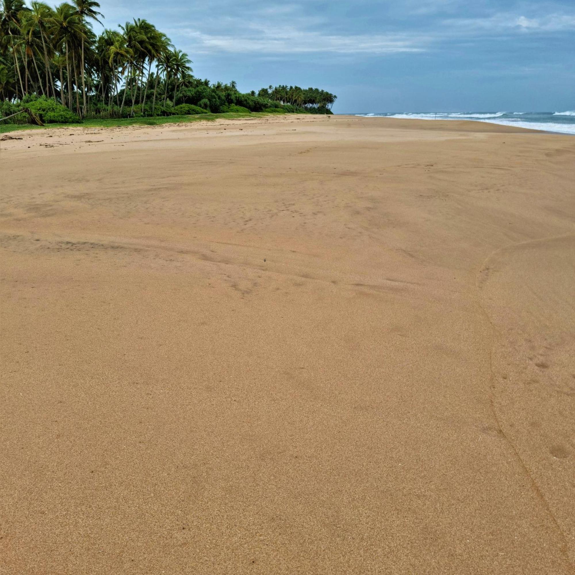 Arhimser Villa: Beachfront Bliss with Pool in Tangalle Exterior photo